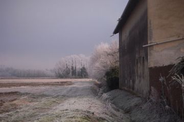 Sfoglia la galleria